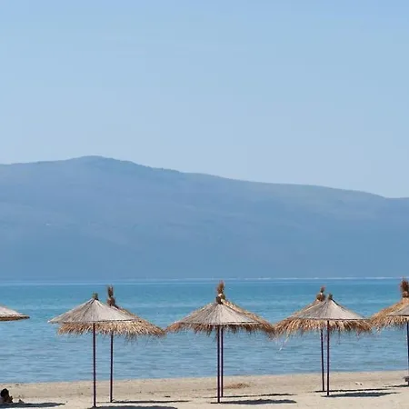 Paradise Dream In Apartment *